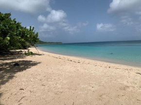 Coté plage Le Balaou Saint Francois
